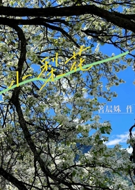 С�滨��У԰h&amp;nbsp;&amp;nbsp;1V1��