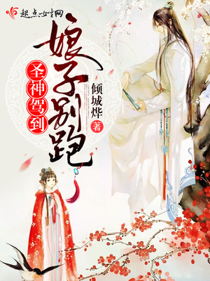 ʥ��ݵ������ӱ���