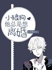 С�ǹ������������